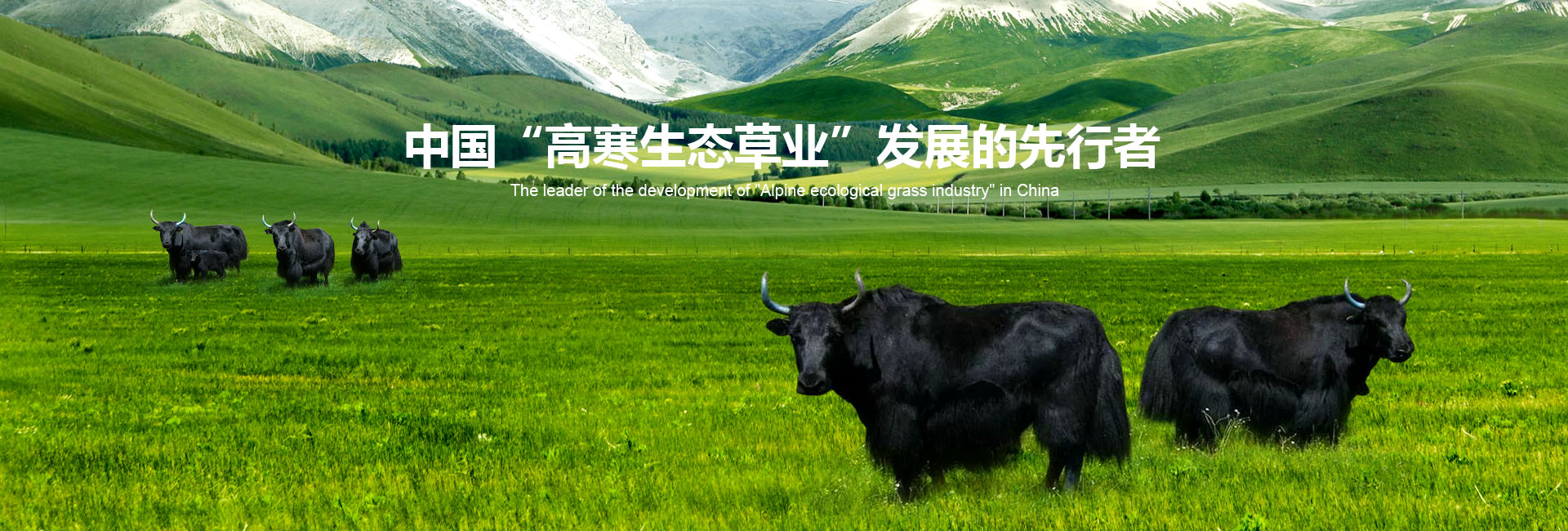 豐年生農(nóng)